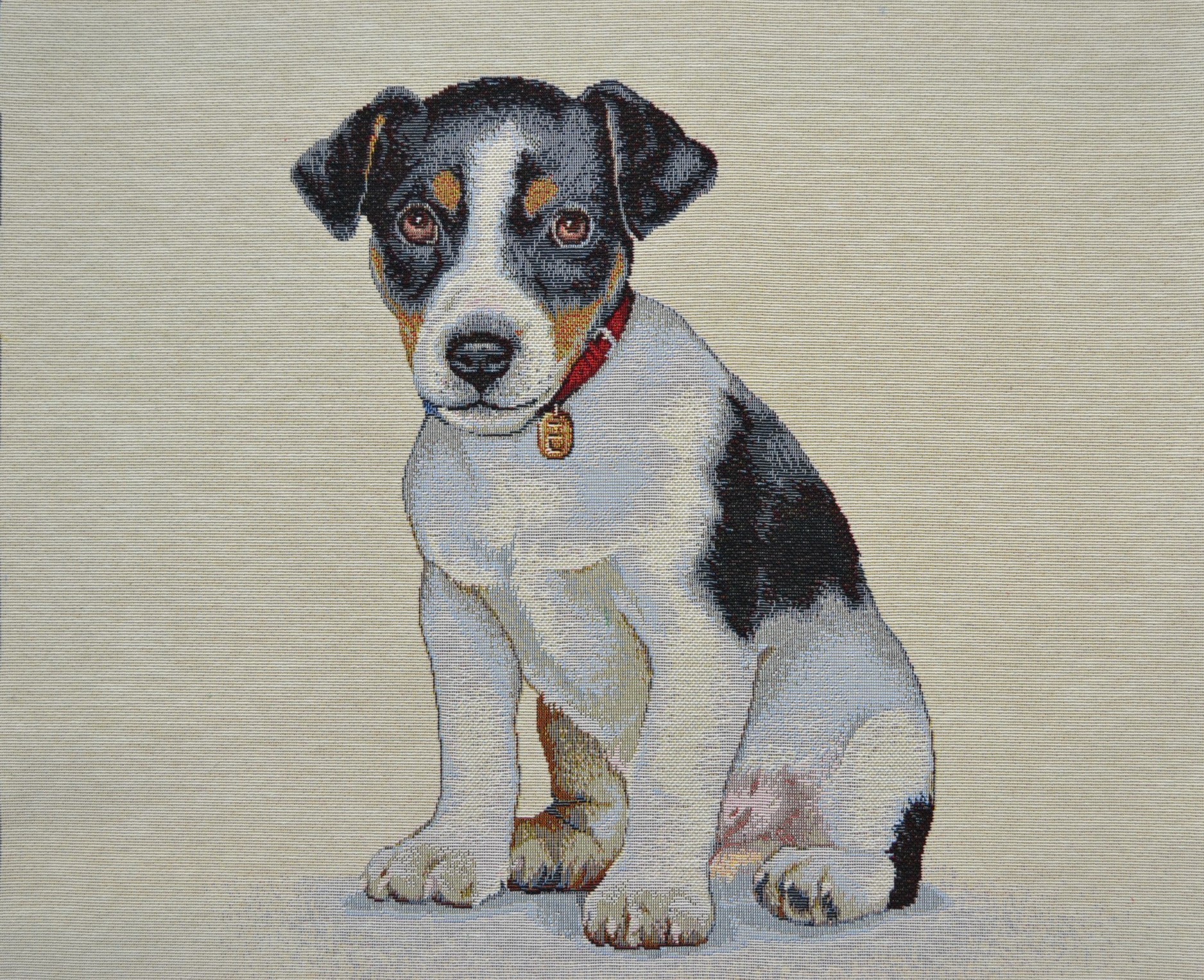 Carré - Jeune jack russel