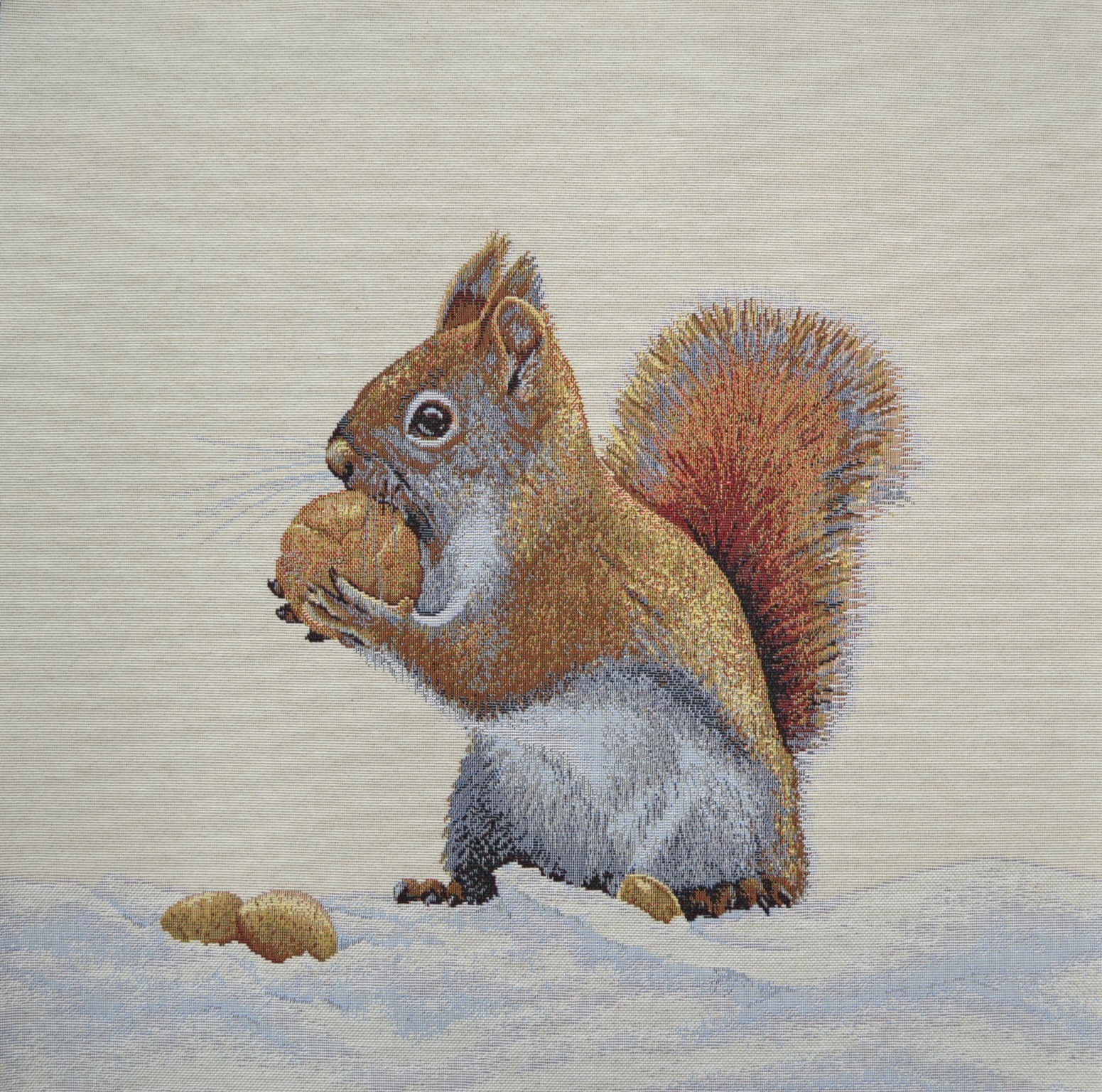 Carré - Écureuil