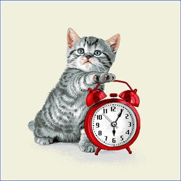 Carré - Chat réveil