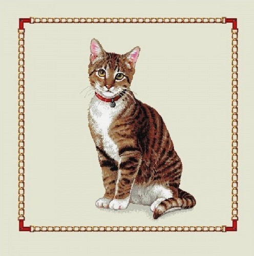 Carré - Chat tigré assis