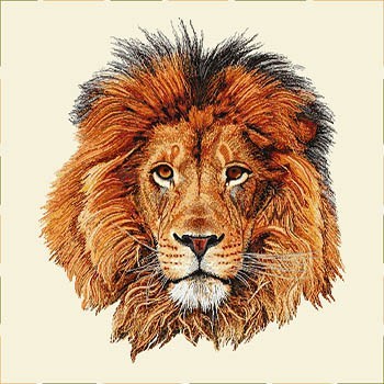 Carré - Lion