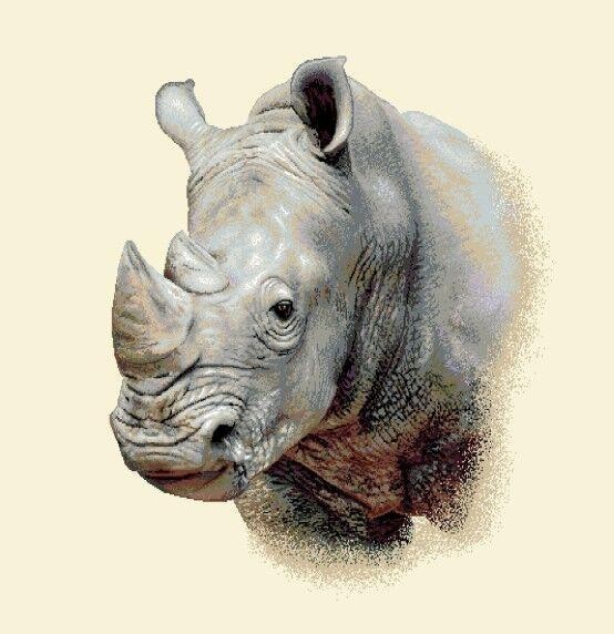 Carré - RHINOCÉROS