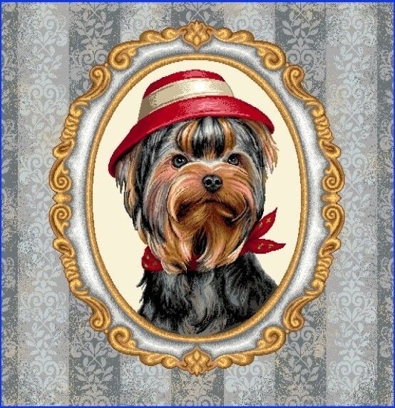 Carré - York au chapeau