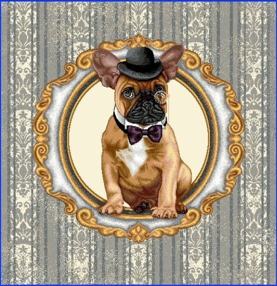 Carré - Bouledogue au chapeau