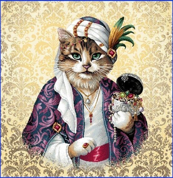 Carré - Chat maharaja