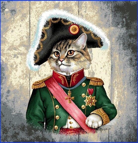 Carré - Chat militaire