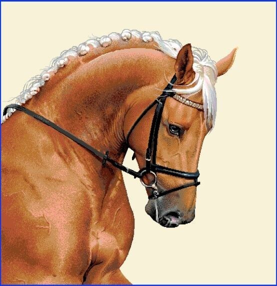 Carré - Cheval robe palomino