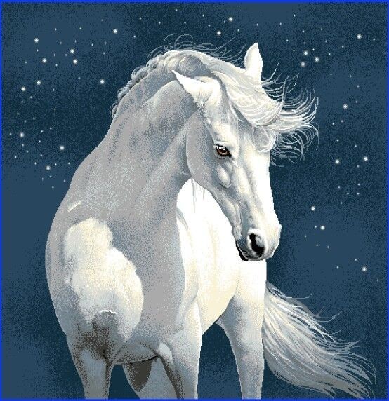 Carré - Cheval blanc dans la nuit