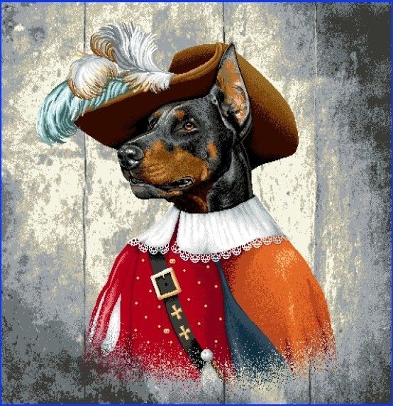 Carré - Doberman mousquetaire