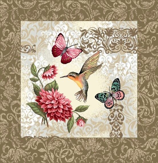 Carré - Colibri papillons