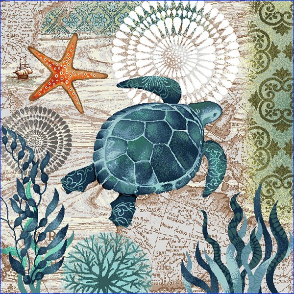 Carré - Tortue de mer