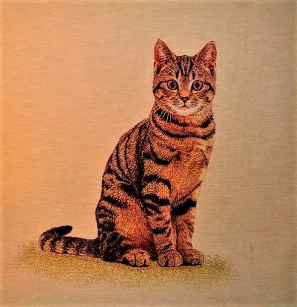 Carré - Chat tigré