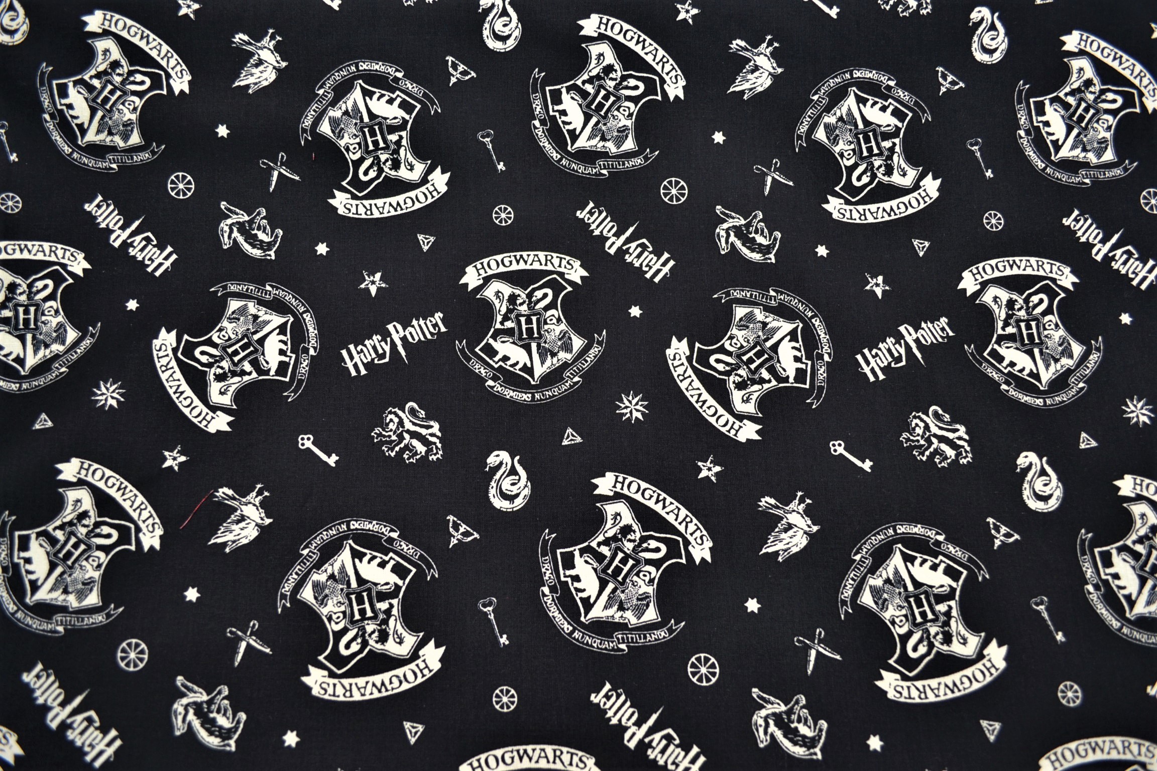 Licence - Hogwarts 2 (Poudlard)