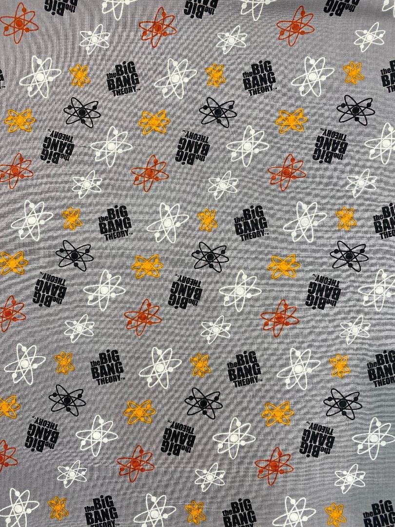 Licence - Big Bang Theory gris