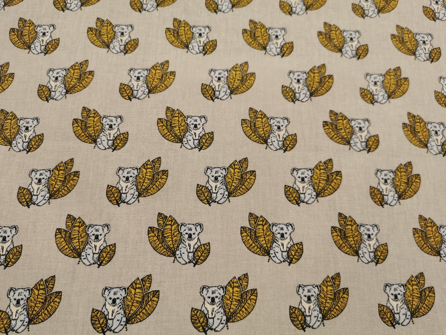 Coton 150 - Koala fond beige