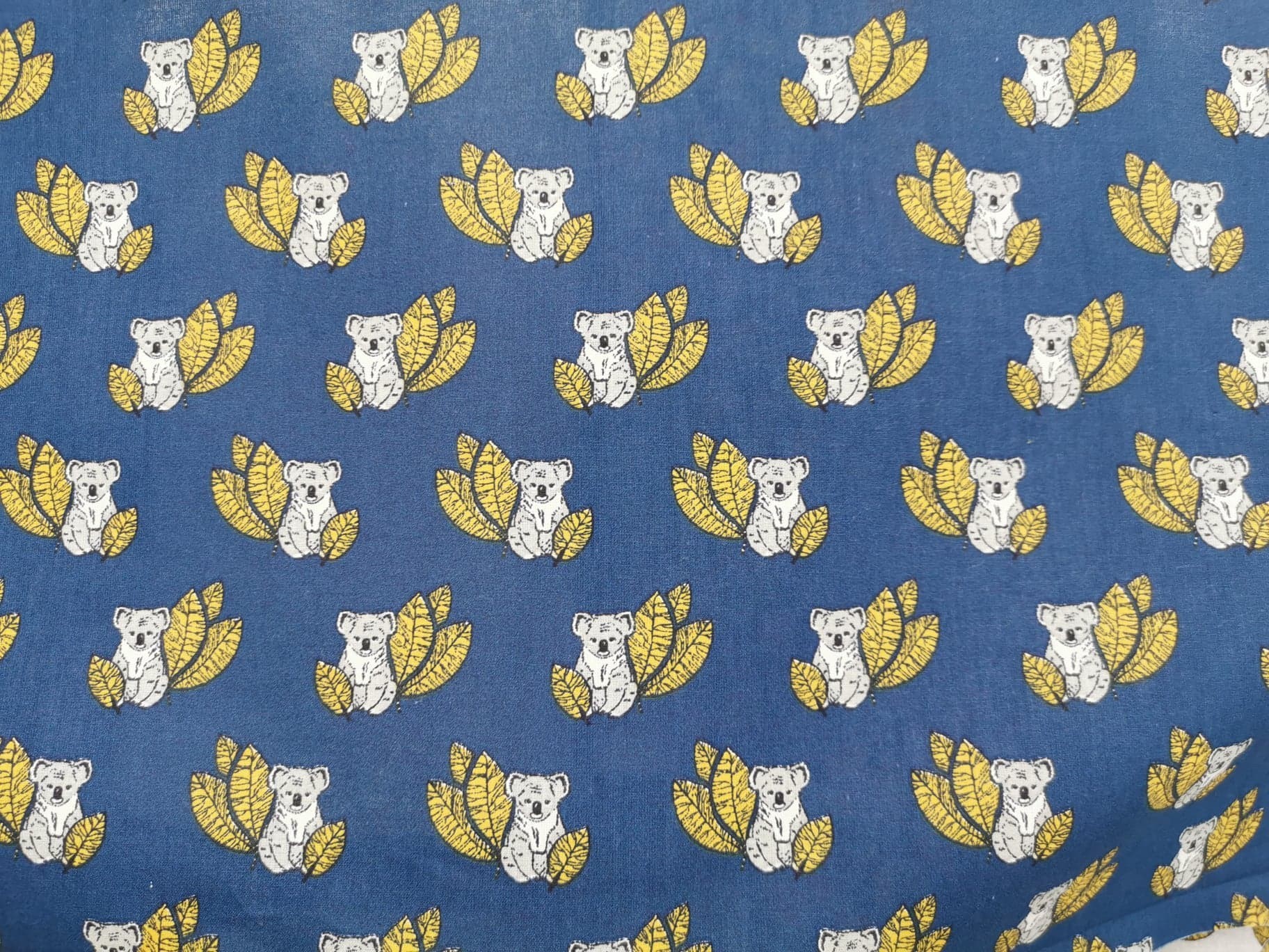 Coton 150 - Koala fond bleu