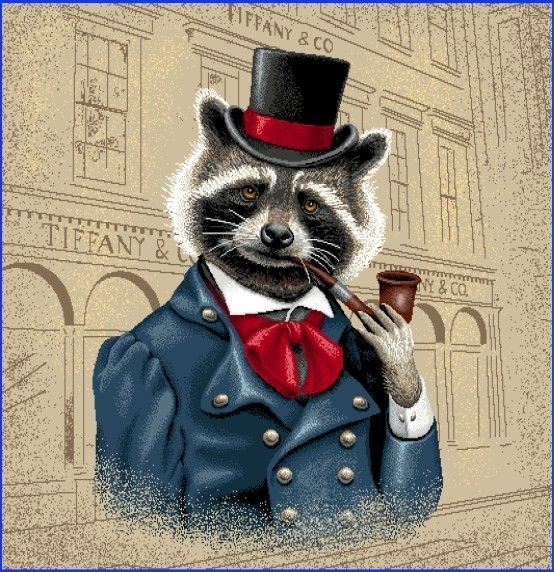 Carré - Raton laveur gentleman