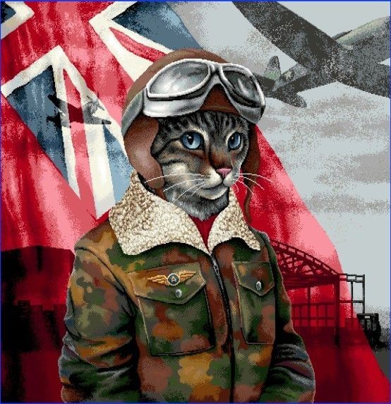 Carré - Chat aviateur