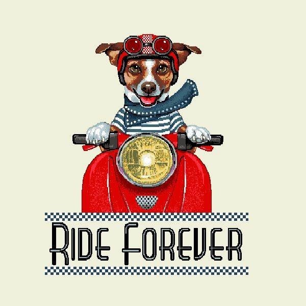 Carré - Jack ride forever