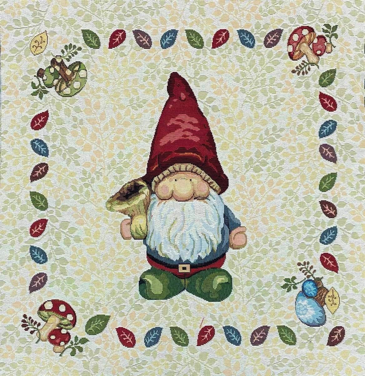 Carré - Nain de jardin