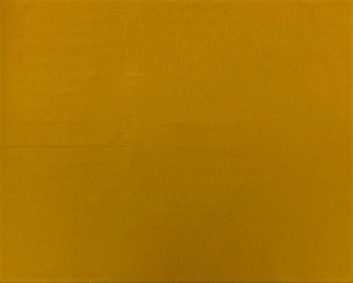 Jersey coton - Moutarde