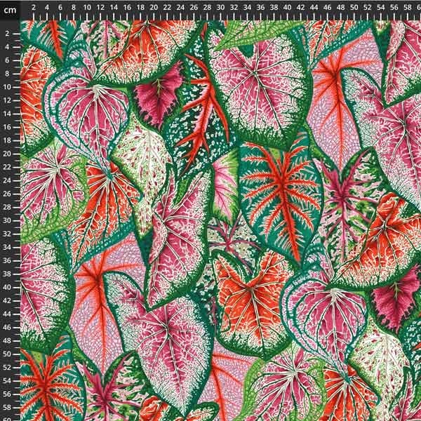 Kaffe fassett 8200-616