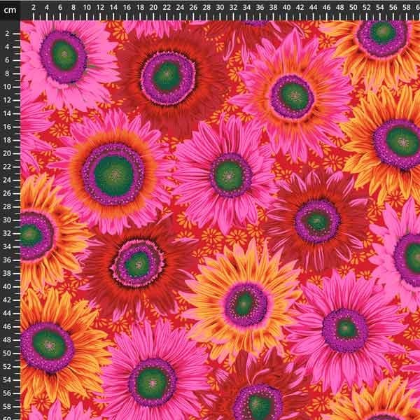Kaffe fassett 8200-640