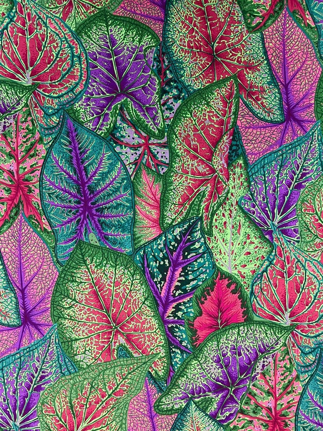 Kaffe fassett 8200-617