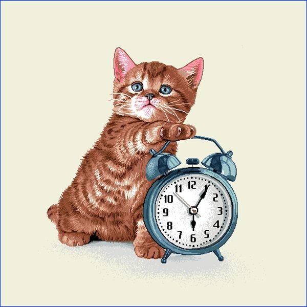 Carré - Chat roux et réveil