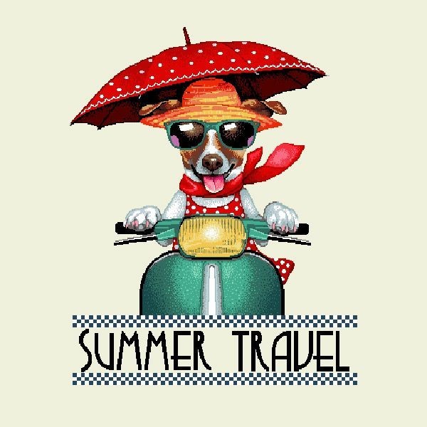 Carré - Jack summer travel