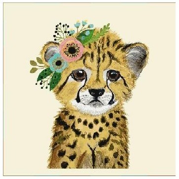 Carré -Bébé guépard