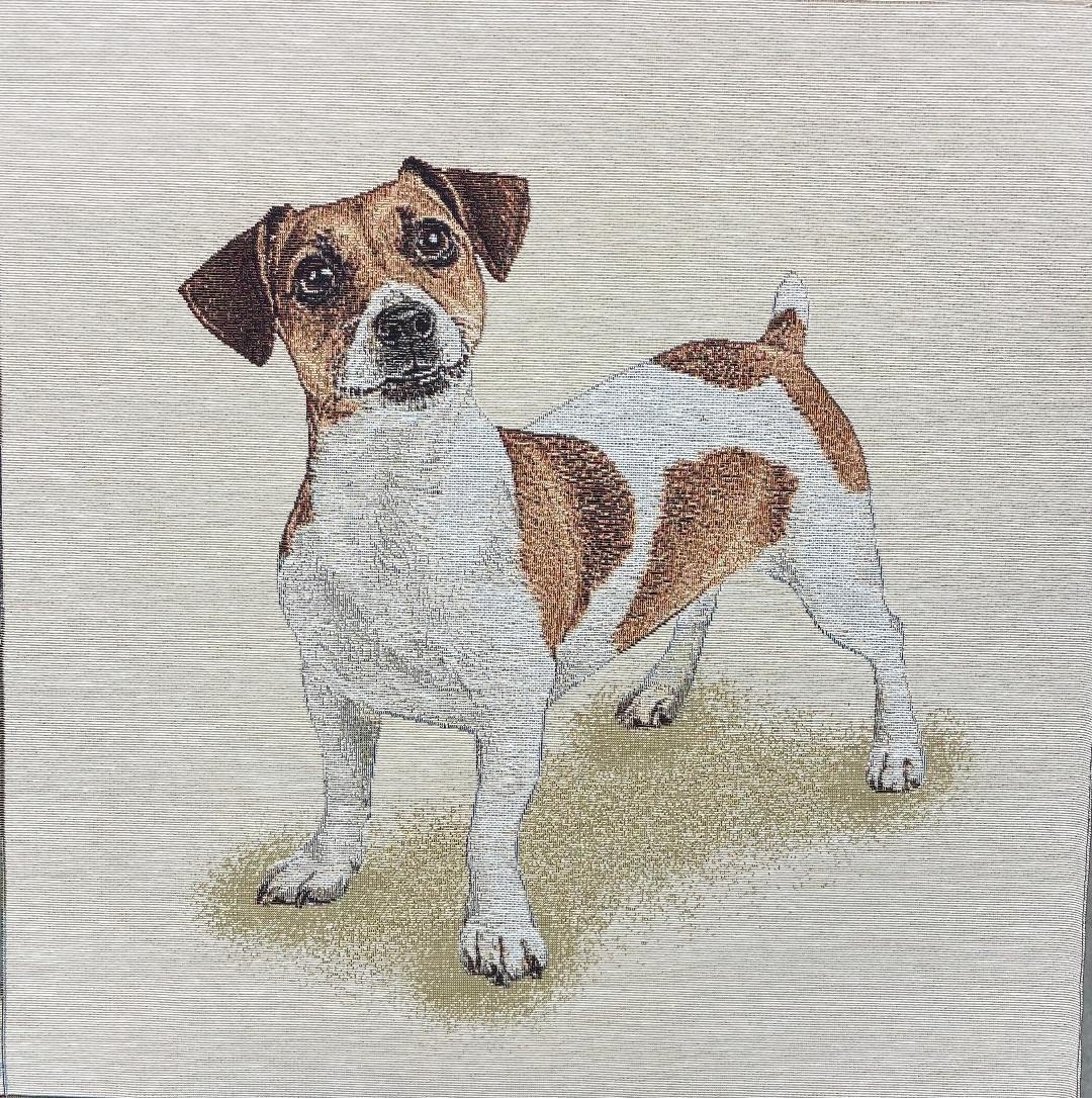 Carré - Jack russell