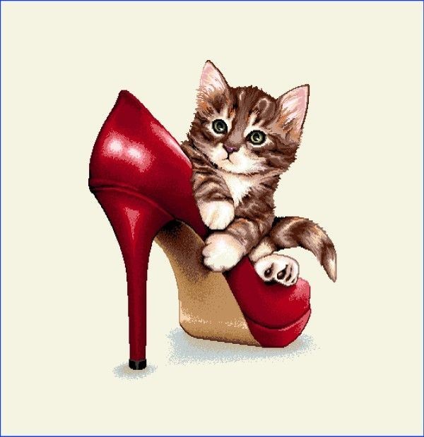 Carré - Chaton et  chaussure