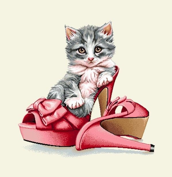 Carré - Chaton et  paire de chaussure