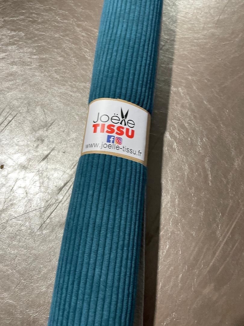 Coupon velours cottelé - canard