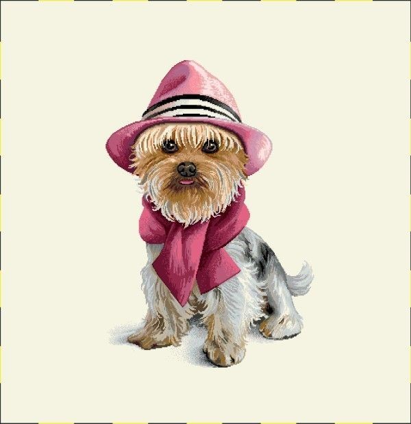 Carré-York chapeau écharpe