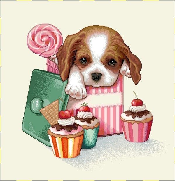 Carré-Chiot gâteau