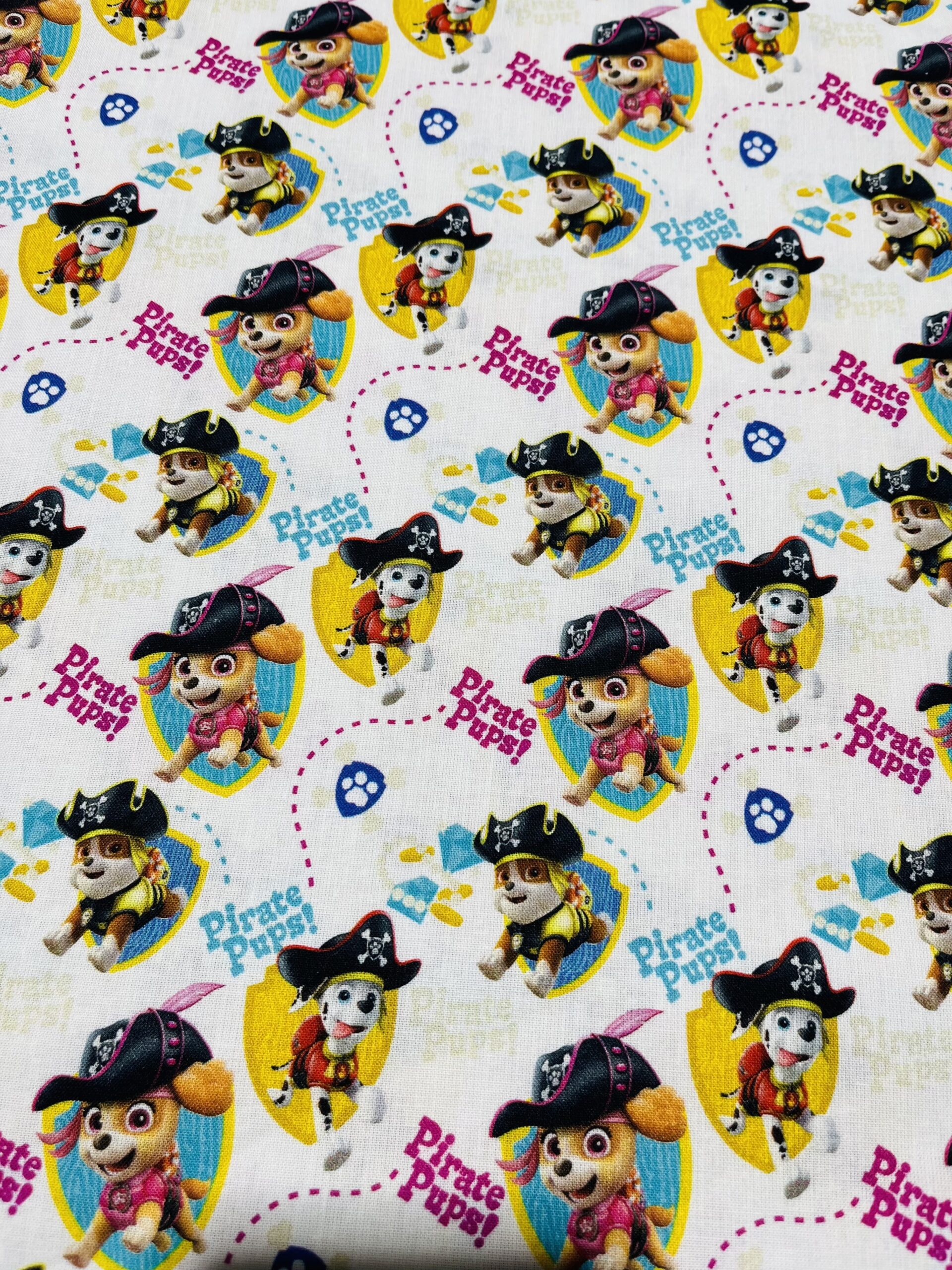 Pat’patrouille pirate