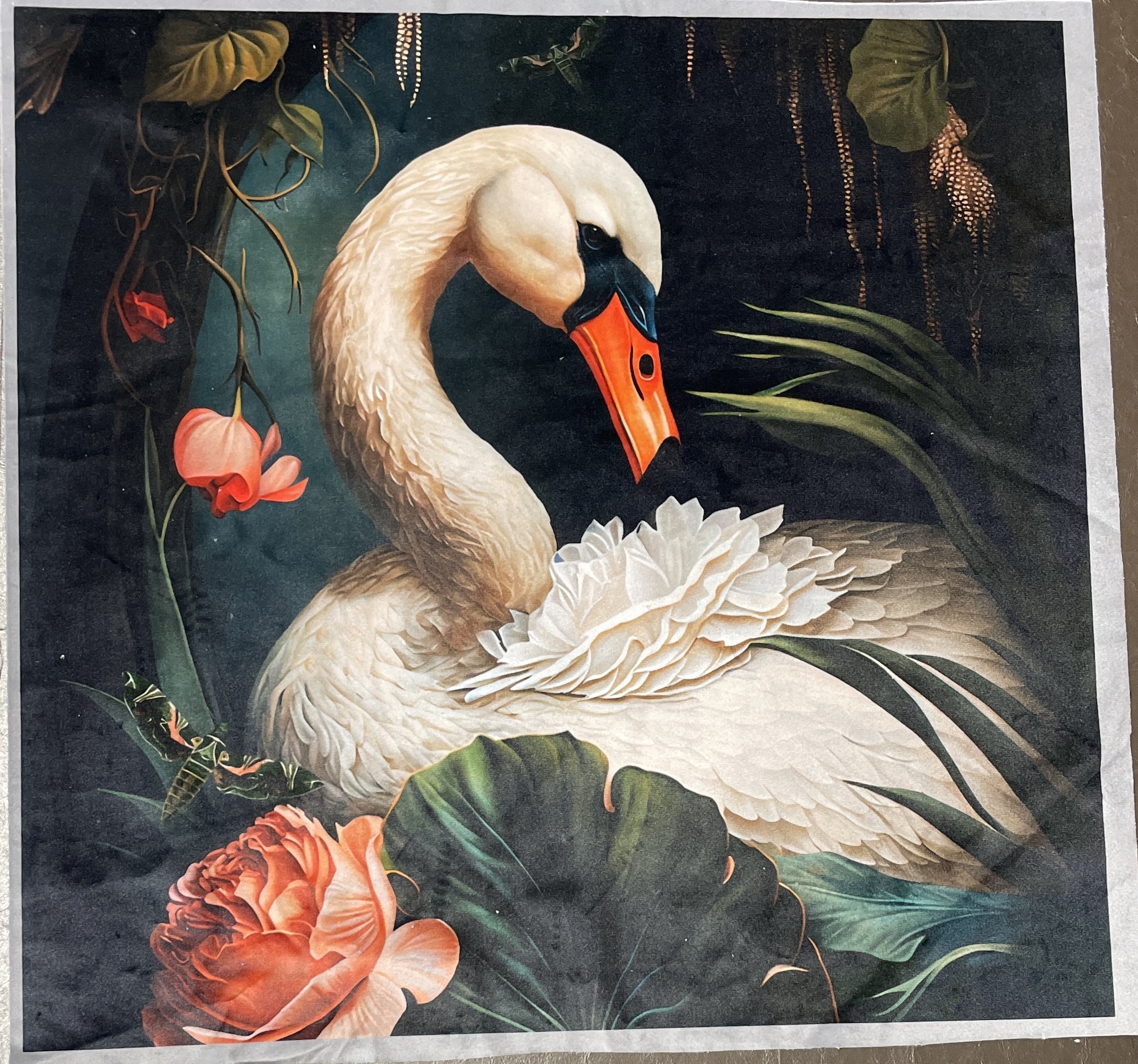 Carré  velours- Cygne