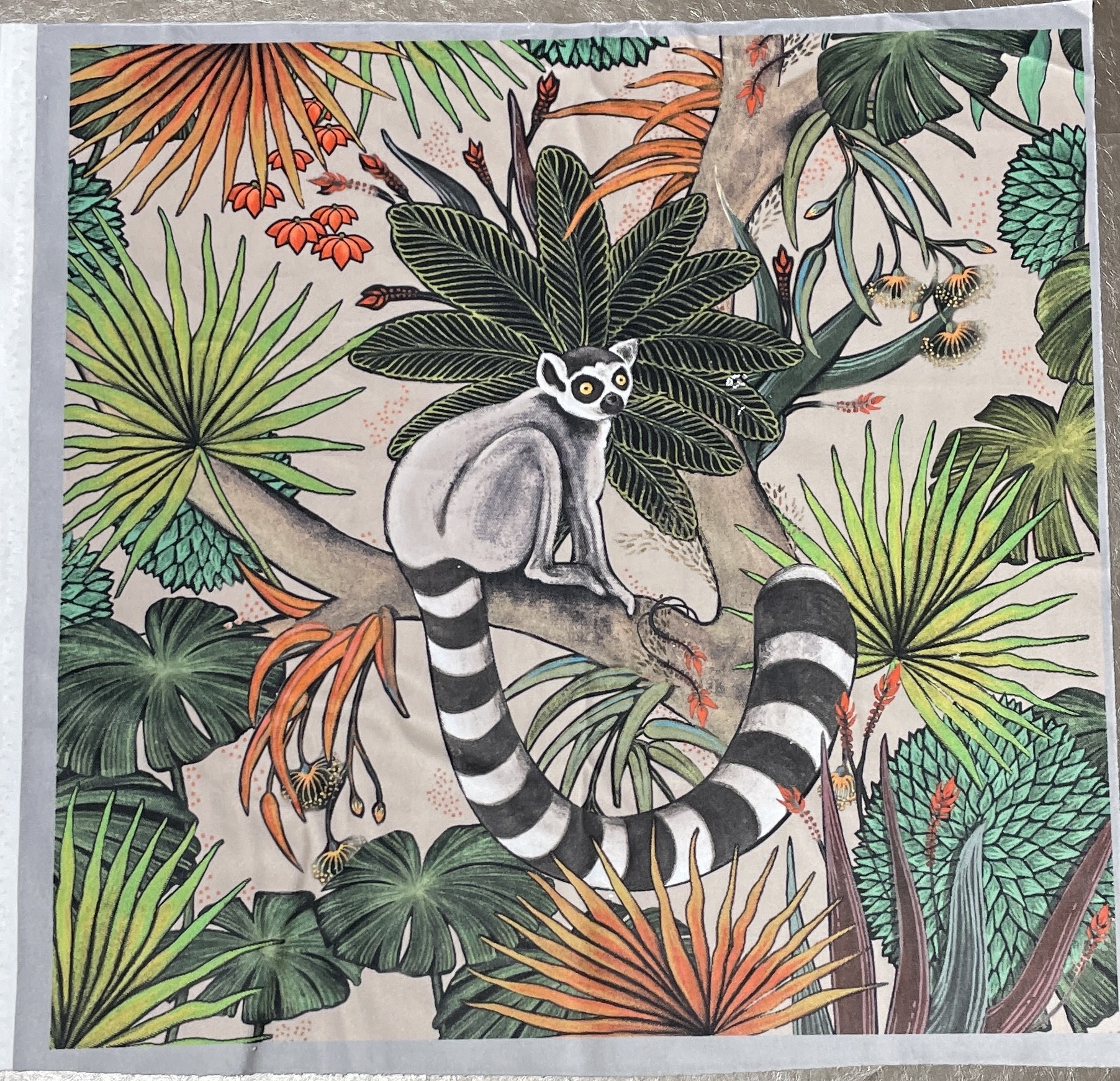 Carré  velours-Lémuriens fond beige