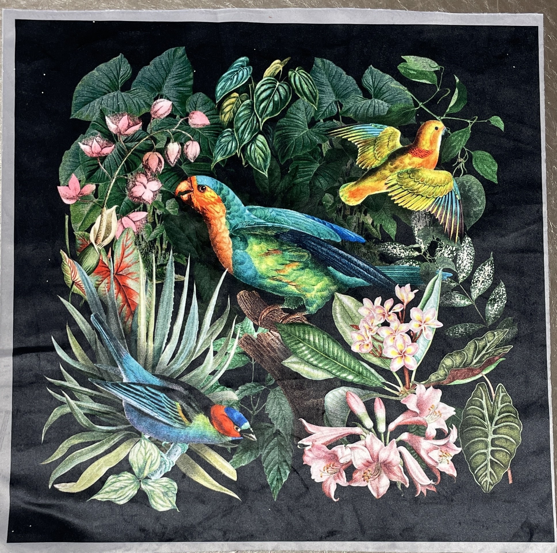 Carré  velours- Perroquets