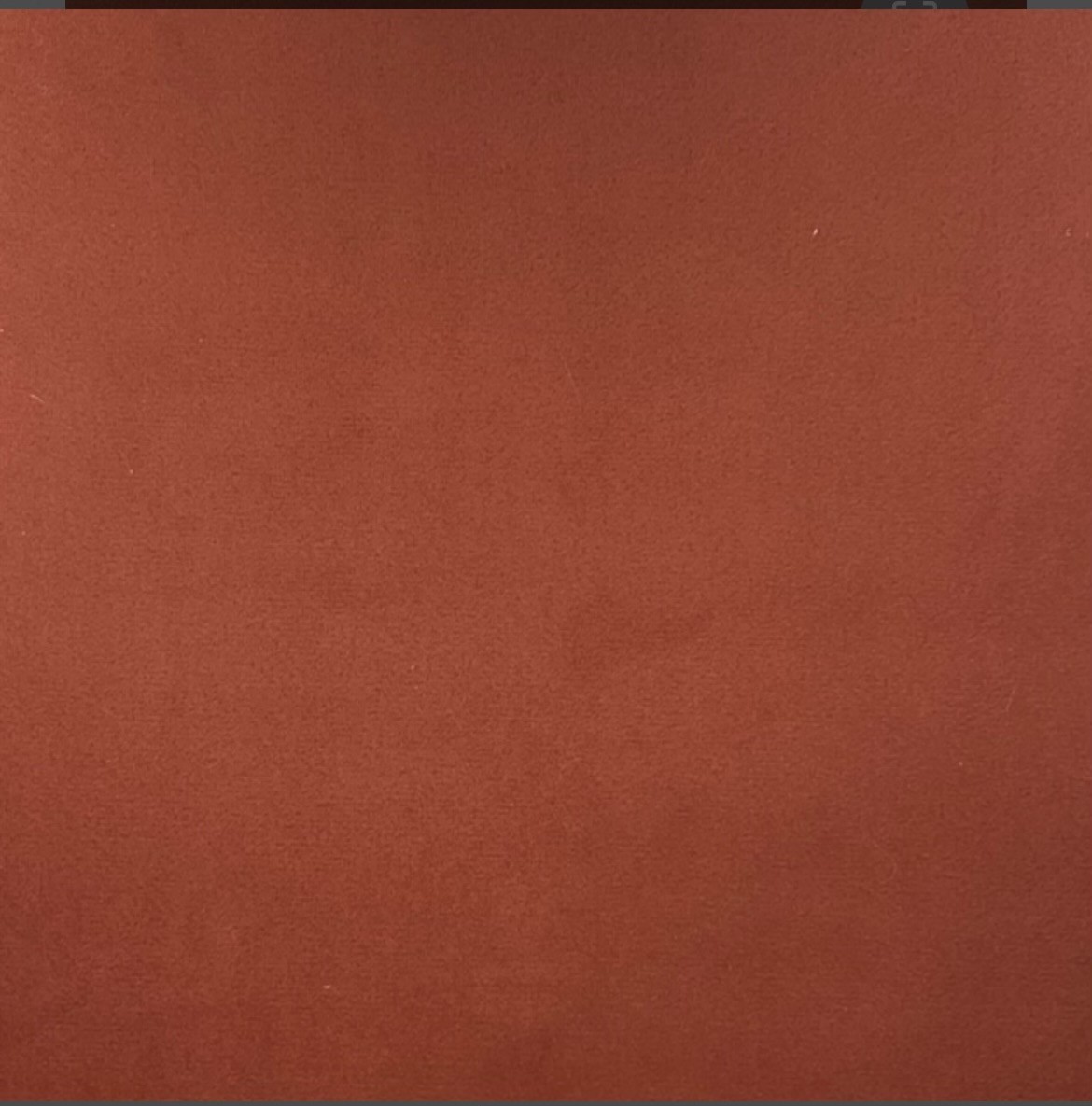 Coupon velours lisse Tomette