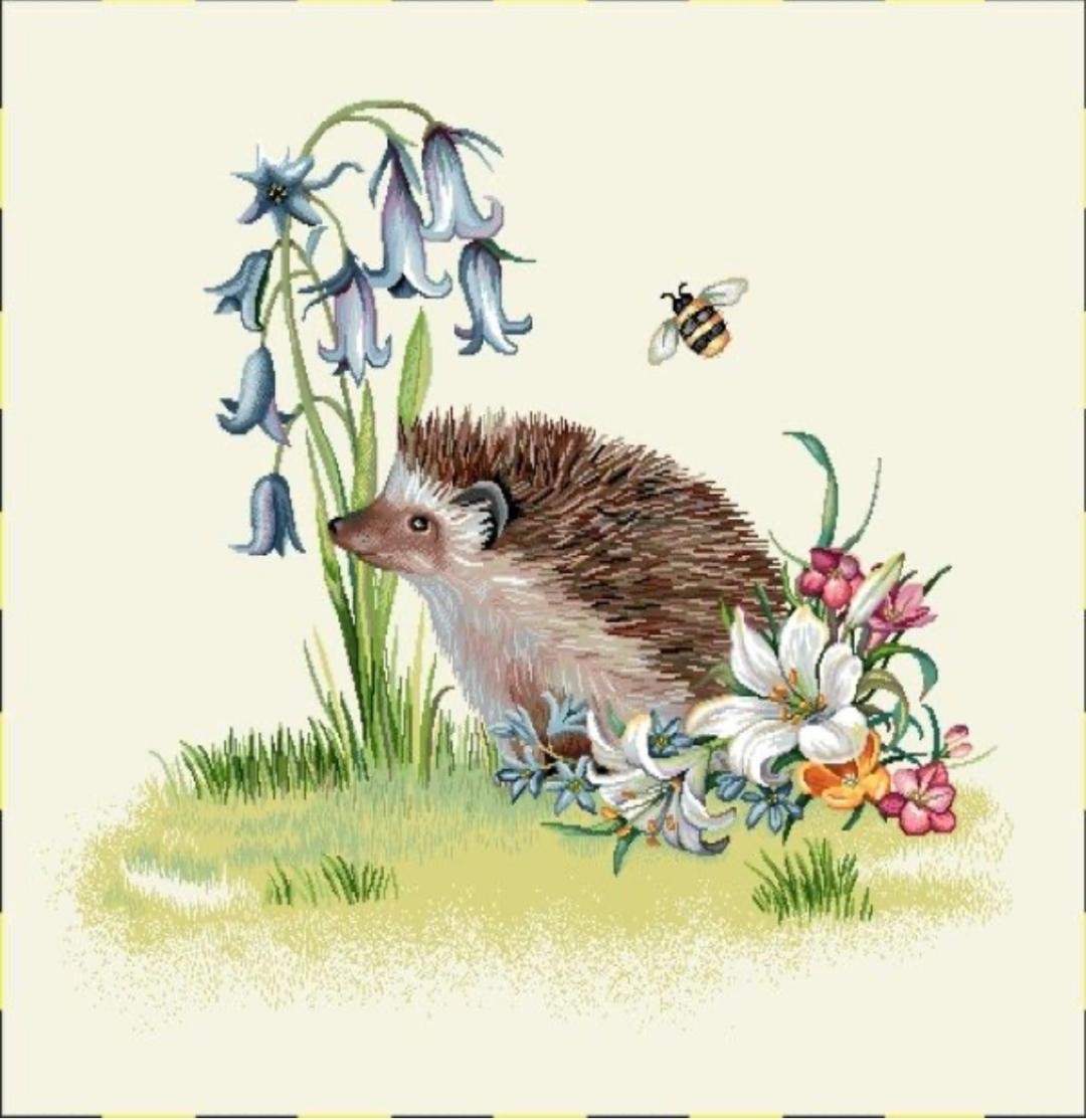 Carré -hérisson et les fleurs