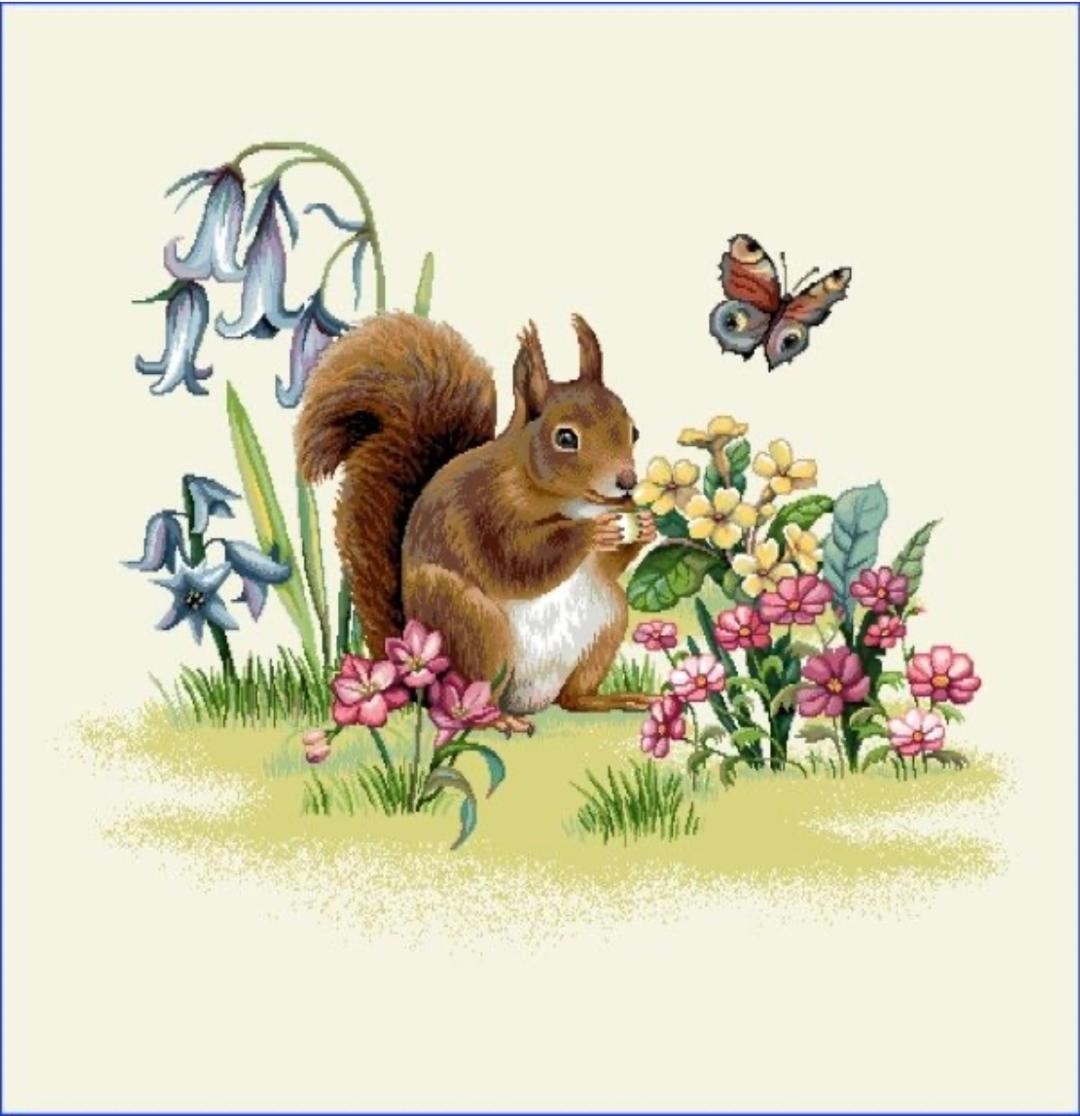 Carré -Ecureuil,fleurs et papillon
