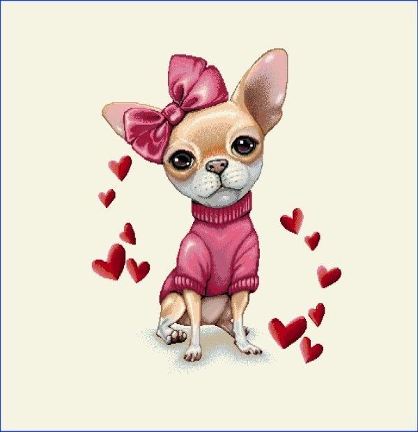 Carré -Chihuahua et coeur