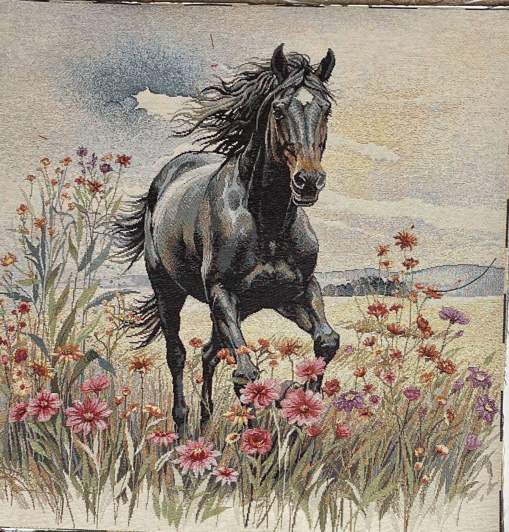 Carré - Cheval dans le champ