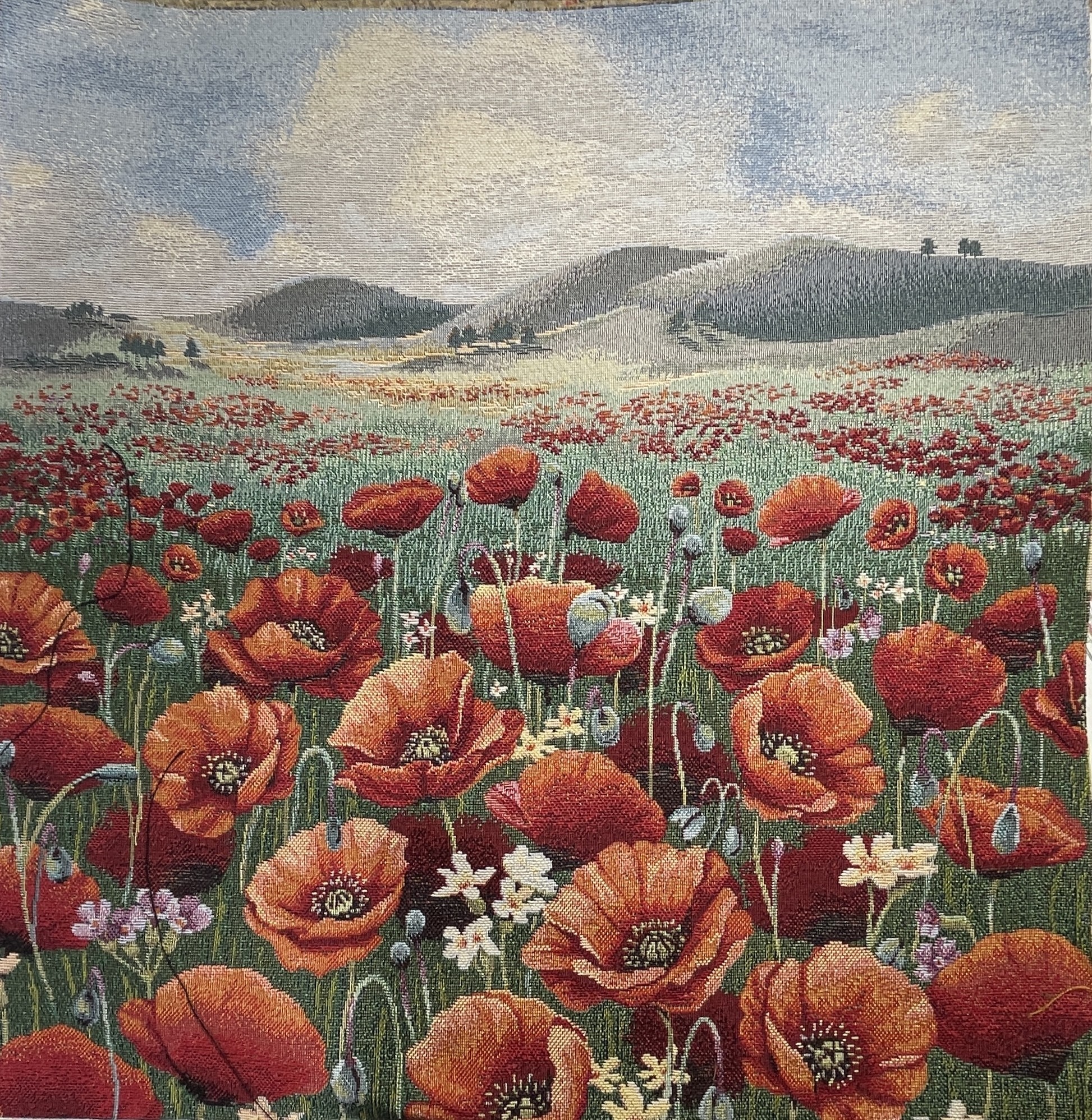 Carré -Champ de coquelicots