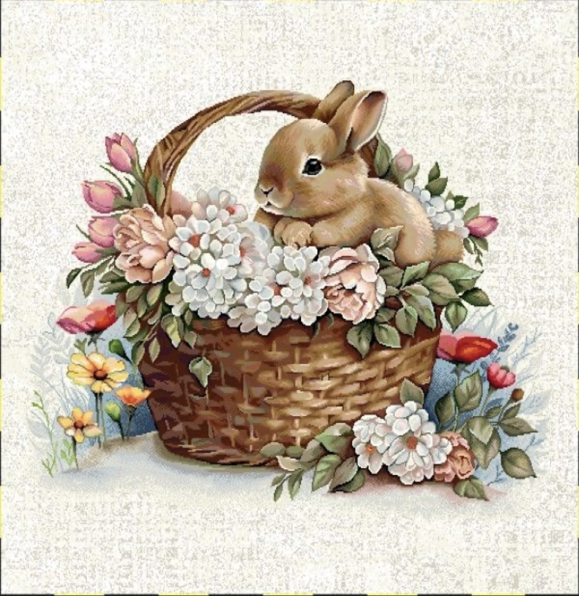 Carré - Lapin et le panier