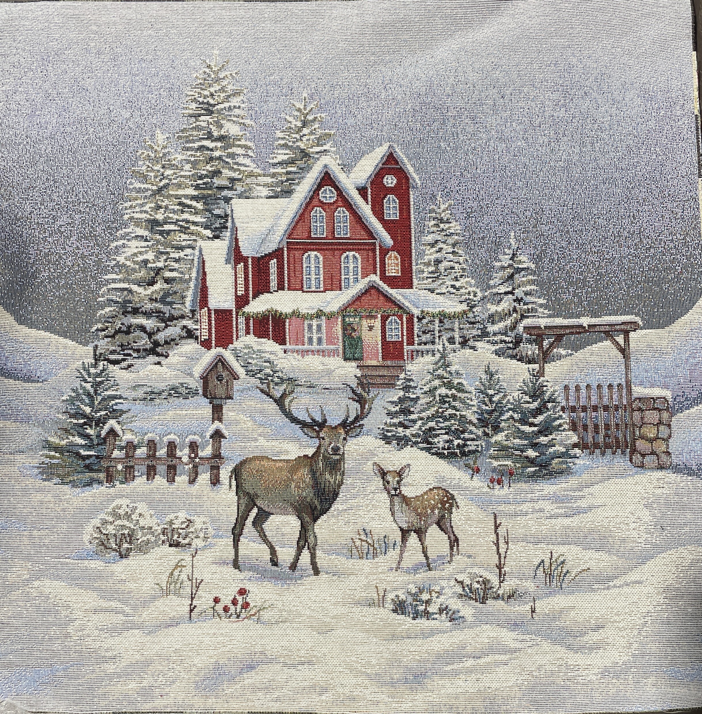 Carre-Cerf et faon devant la maison