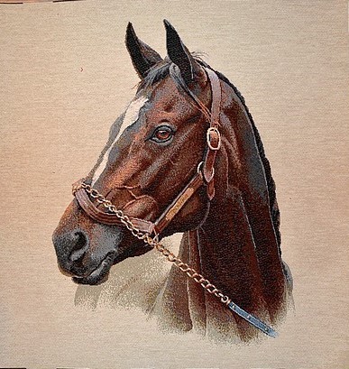 Carré - Cheval robe bai